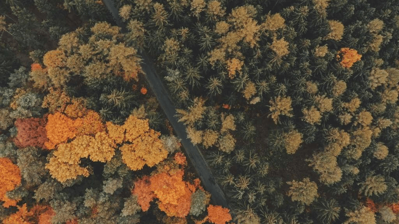 Balance - professional stock photography