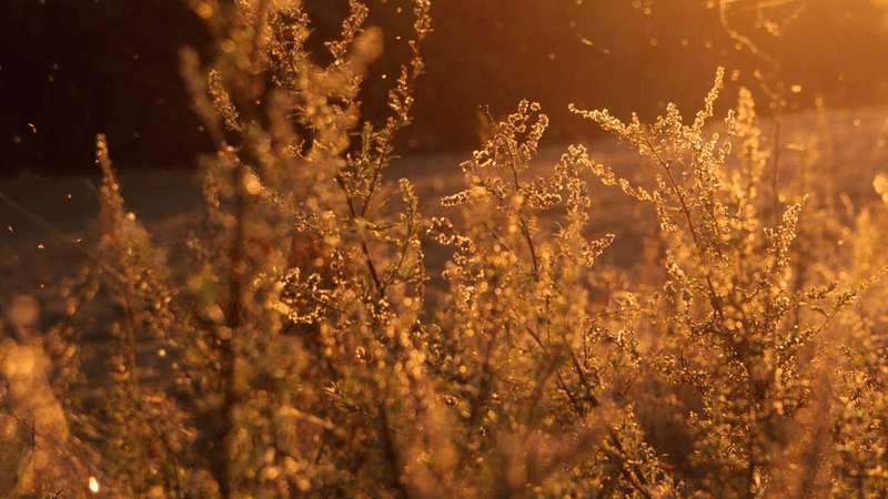 Calm - professional stock photography