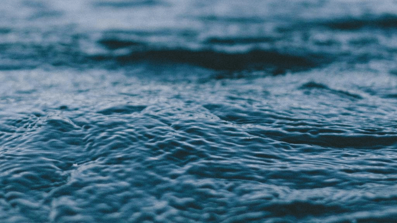 Growth - professional stock photography