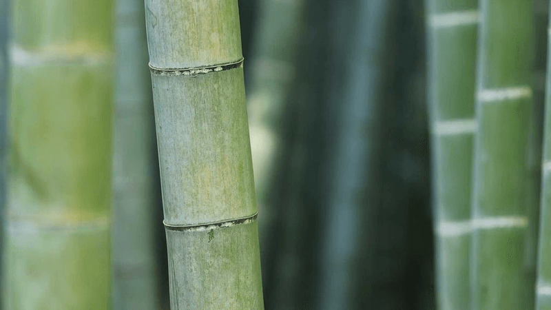 Meditation - professional stock photography