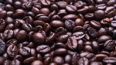 Morning - professional stock photography