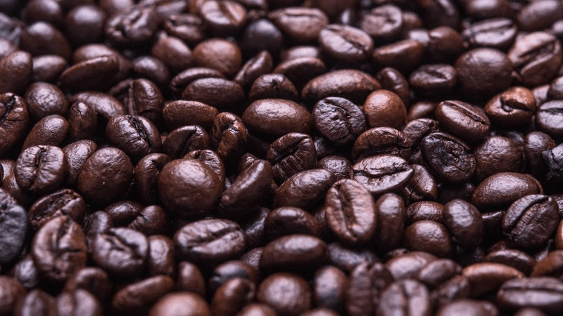 Morning - professional stock photography